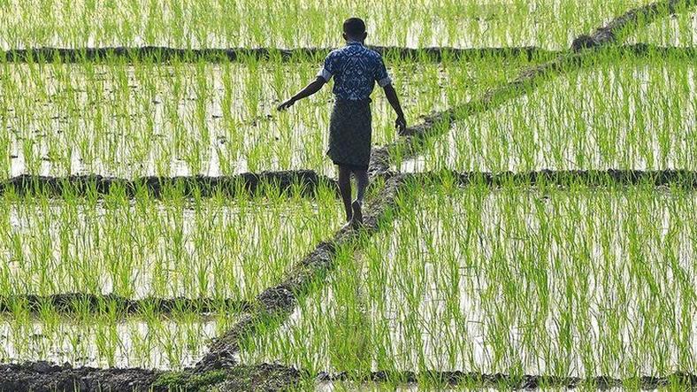 If farmers have greater choice to sell to whoever & wherever! Why still Farmers are protesting? If farmers have greater choice to sell to whoever & wherever! Why still Farmers are protesting?