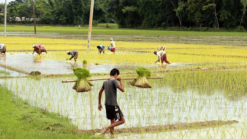 Indian Farms Reforms of 2020 Indian Farms Reforms of 2020