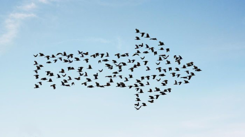 Migrate your site from Drupal 7 To Drupal 9? Migrate your site from Drupal 7 To Drupal 9?