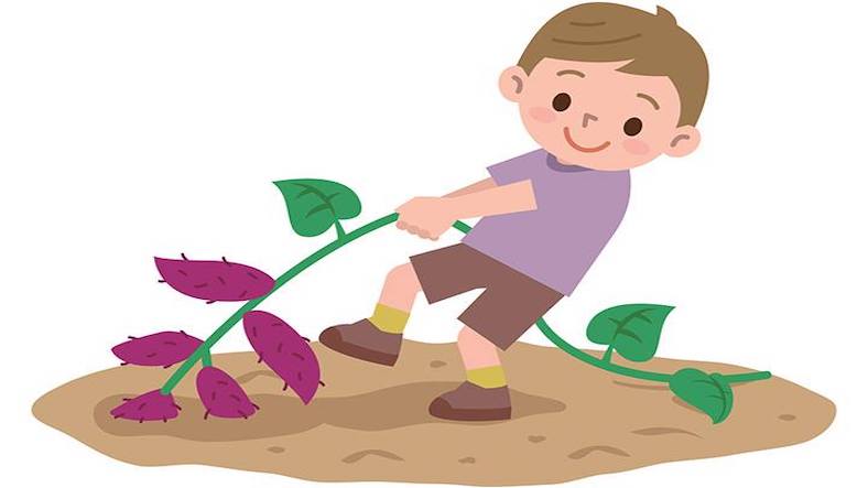 Bad Habits Bad Habits