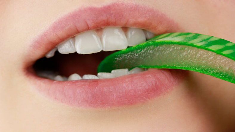 Benefits of Aloe vera in Oral Health Benefits of Aloe vera in Oral Health