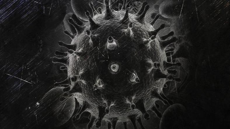Black Fungus - Detected in Coronavirus Patients Black Fungus - Detected in Coronavirus Patients