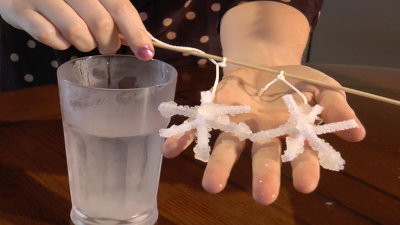 Borax Crystal Snowflakes, science experiment for children Borax Crystal Snowflakes, science experiment for children