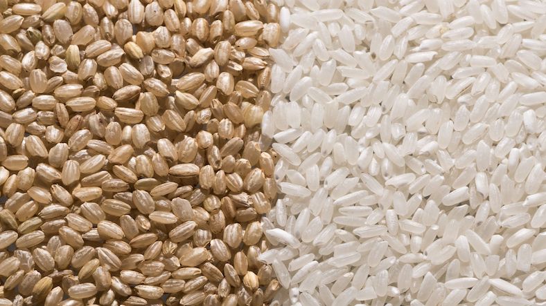 Brown rice vs White rice Brown rice vs White rice