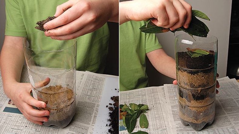 Build a Worm Farm, science experiment for children Build a Worm Farm, science experiment for children