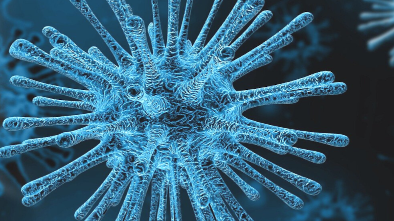 Studies estimate long COVID-19 has over two hundred Symptoms Studies estimate long COVID-19 has over two hundred Symptoms