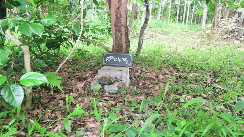 Dharmasthala Mass Burial Case: SIT Arrest of Bheema Reignites Questions in Soujanya Case Dharmasthala Mass Burial Case: SIT Arrest of Bheema Reignites Questions in Soujanya Case
