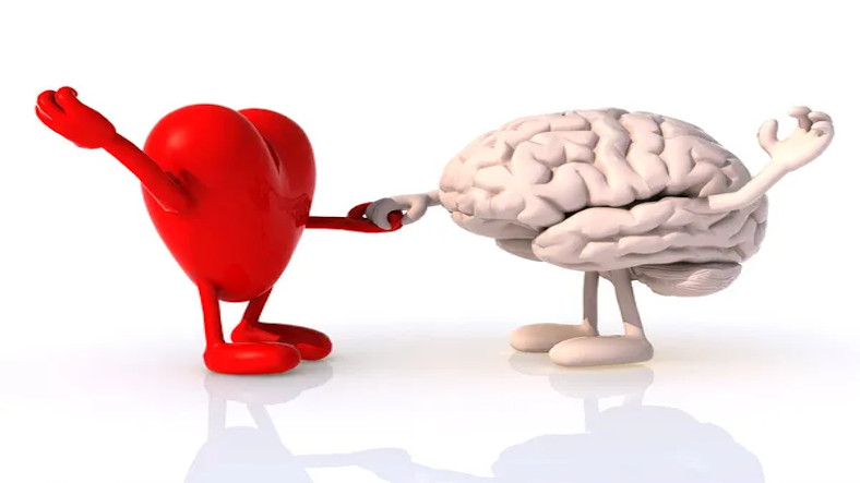Do you know? Your Brain is the biggest Sex organ! Do you know? Your Brain is the biggest Sex organ!