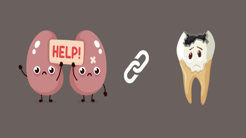 Exploring the link Between Oral Health and Kidney Health Exploring the link Between Oral Health and Kidney Health