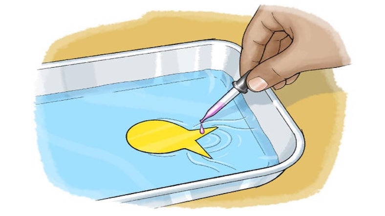Floating fish, science experiment for children Floating fish, science experiment for children