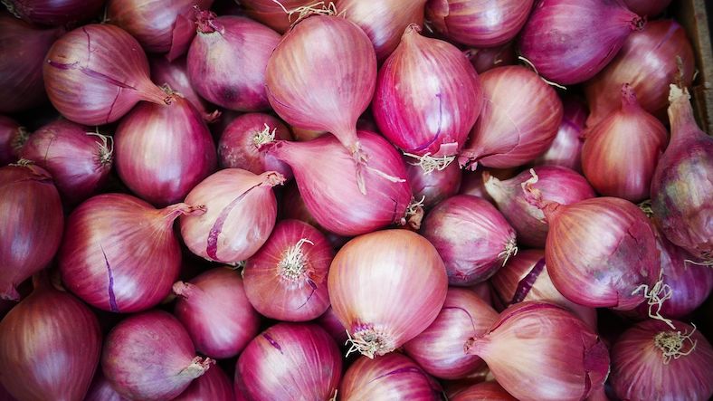 Growing enough Onions to Feed a Family by Yourself Growing enough Onions to Feed a Family by Yourself