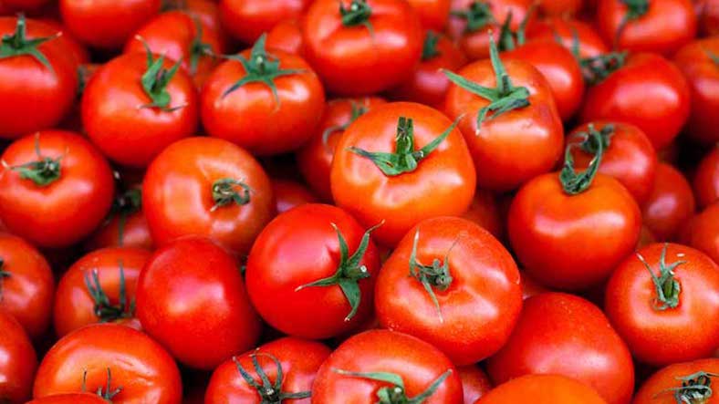 Growing enough Tomatoes to Feed a Family by Yourself Growing enough Tomatoes to Feed a Family by Yourself
