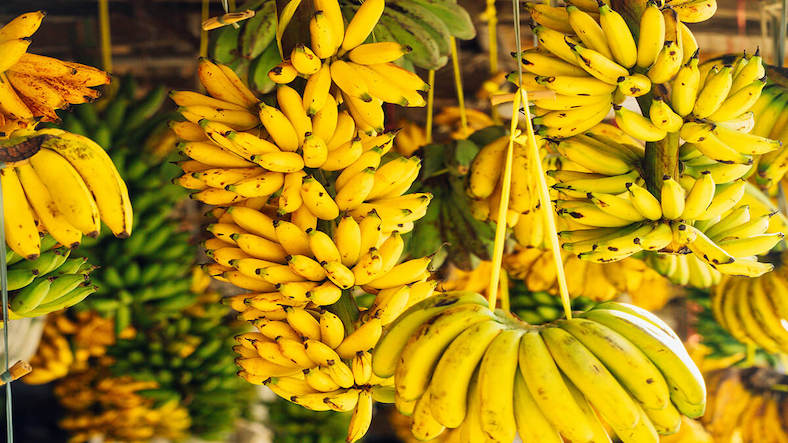 Health benefits of bananas and why people need to consume them? Health benefits of bananas and why people need to consume them?