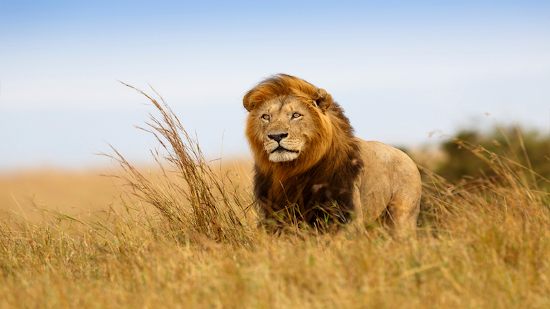 How to be Approachable and Friendly How to be Approachable and Friendly