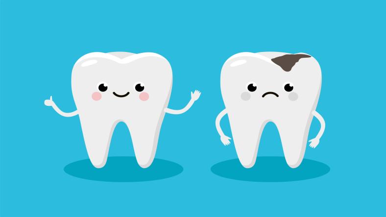 How to Handle Dental Fillings and Cavities How to Handle Dental Fillings and Cavities