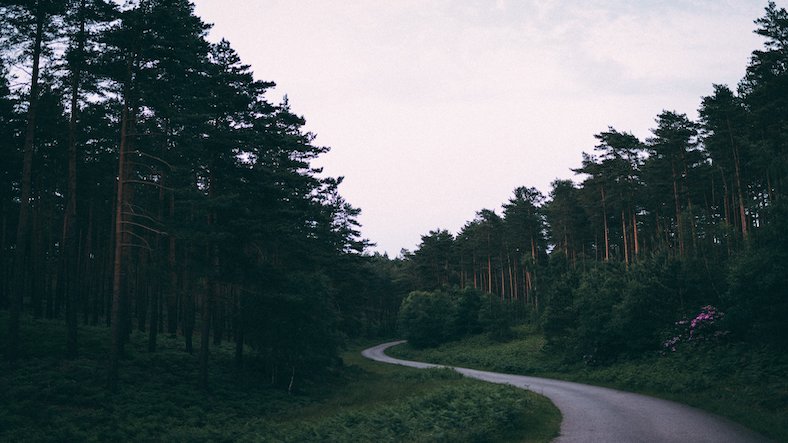 Look deep into the nature and then you will understand everything better Look deep into the nature and then you will understand everything better