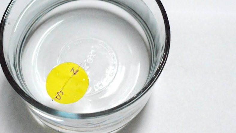 Make a compass, science experiment for children Make a compass, science experiment for children