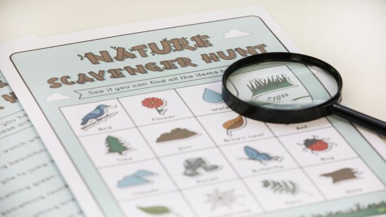 Nature Scavenger Hunt, science experiment for children Nature Scavenger Hunt, science experiment for children