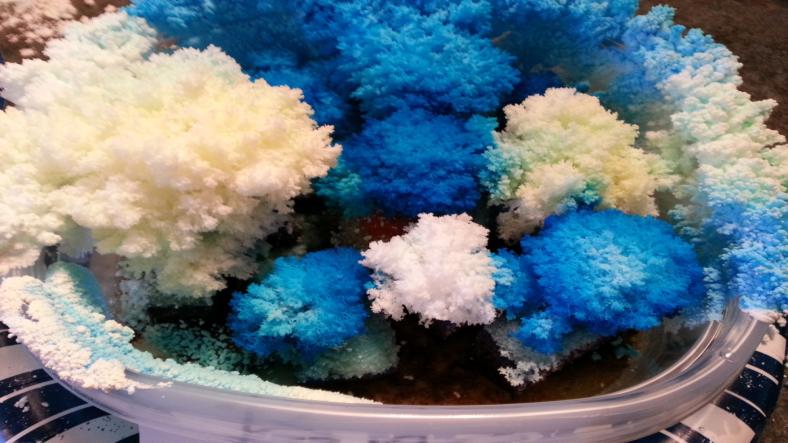Salt Crystal Garden, science experiment for children Salt Crystal Garden, science experiment for children