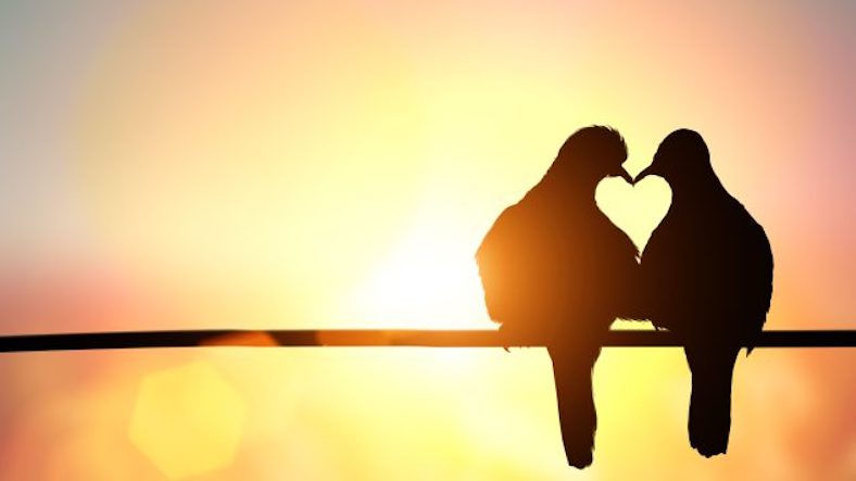 Signs of someone is in Love with you Signs of someone is in Love with you
