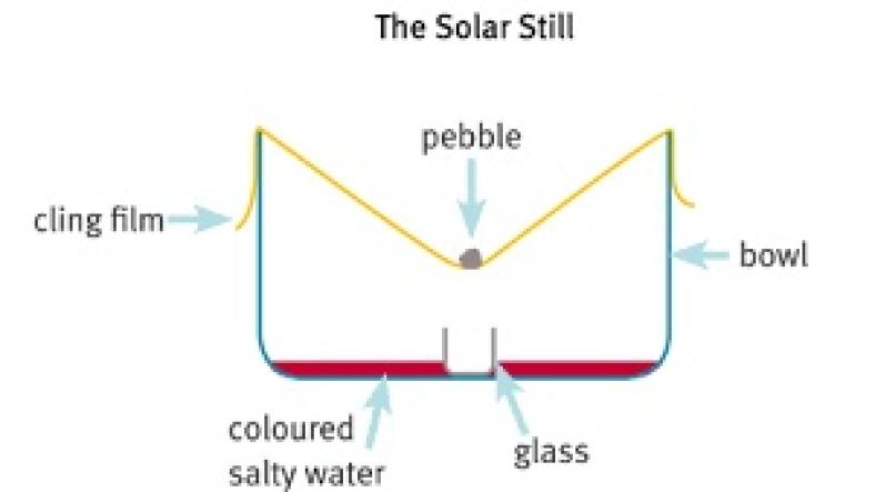Solar Still Experiment, science experiment for children Solar Still Experiment, science experiment for children