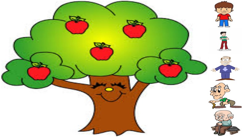 The Boy and the Apple Tree The Boy and the Apple Tree