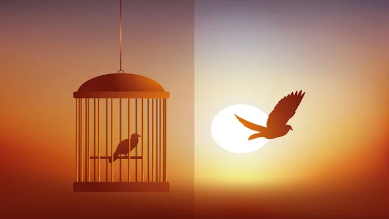 The Caged Bird and the Free Bird The Caged Bird and the Free Bird