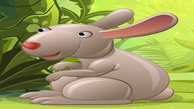 The Clever Rabbit The Clever Rabbit