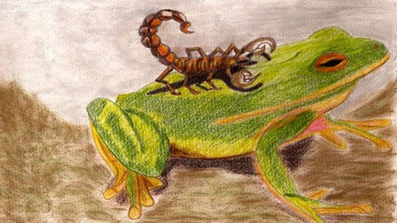The Frog and the Scorpion The Frog and the Scorpion