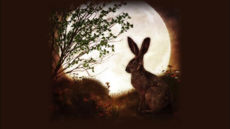 The Hare and the Moon The Hare and the Moon