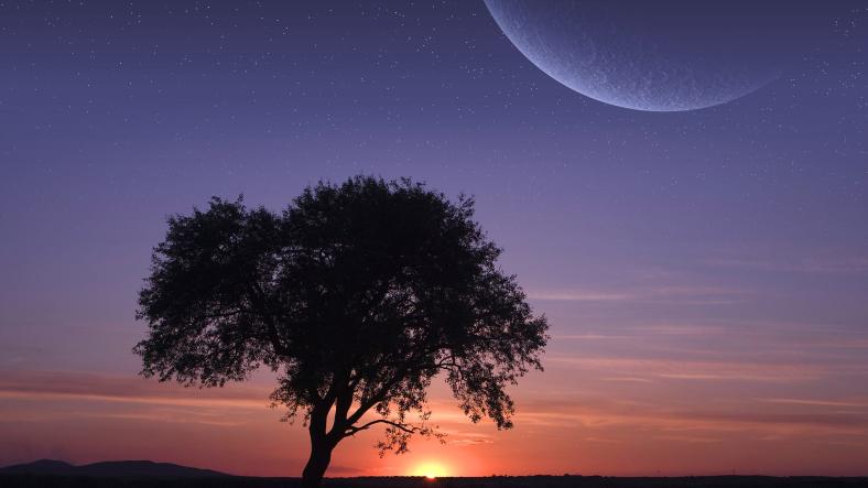 The Sun and the Moon The Sun and the Moon