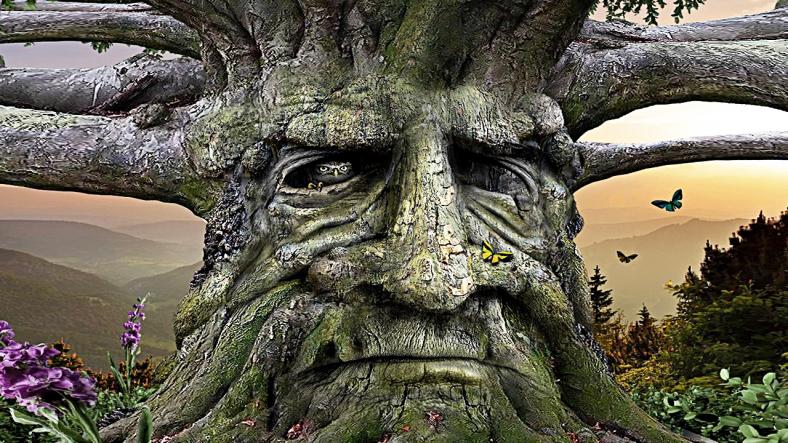 The Talking Tree The Talking Tree