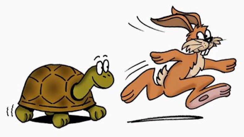 The Tortoise and the Hare The Tortoise and the Hare