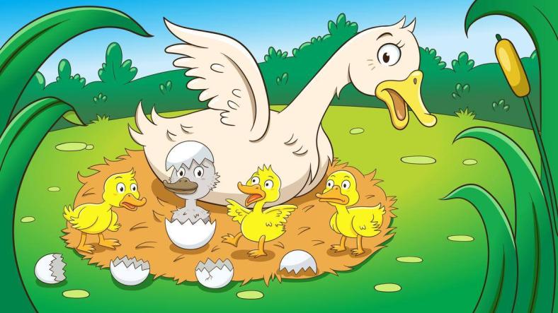 The Ugly Duckling The Ugly Duckling