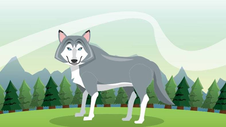 The wolf and the shepherds