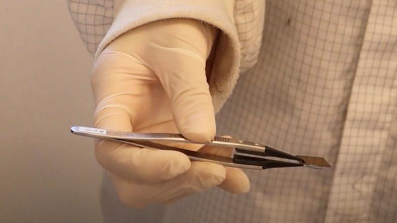 Device with Two Atoms thick, World’s thinnest device